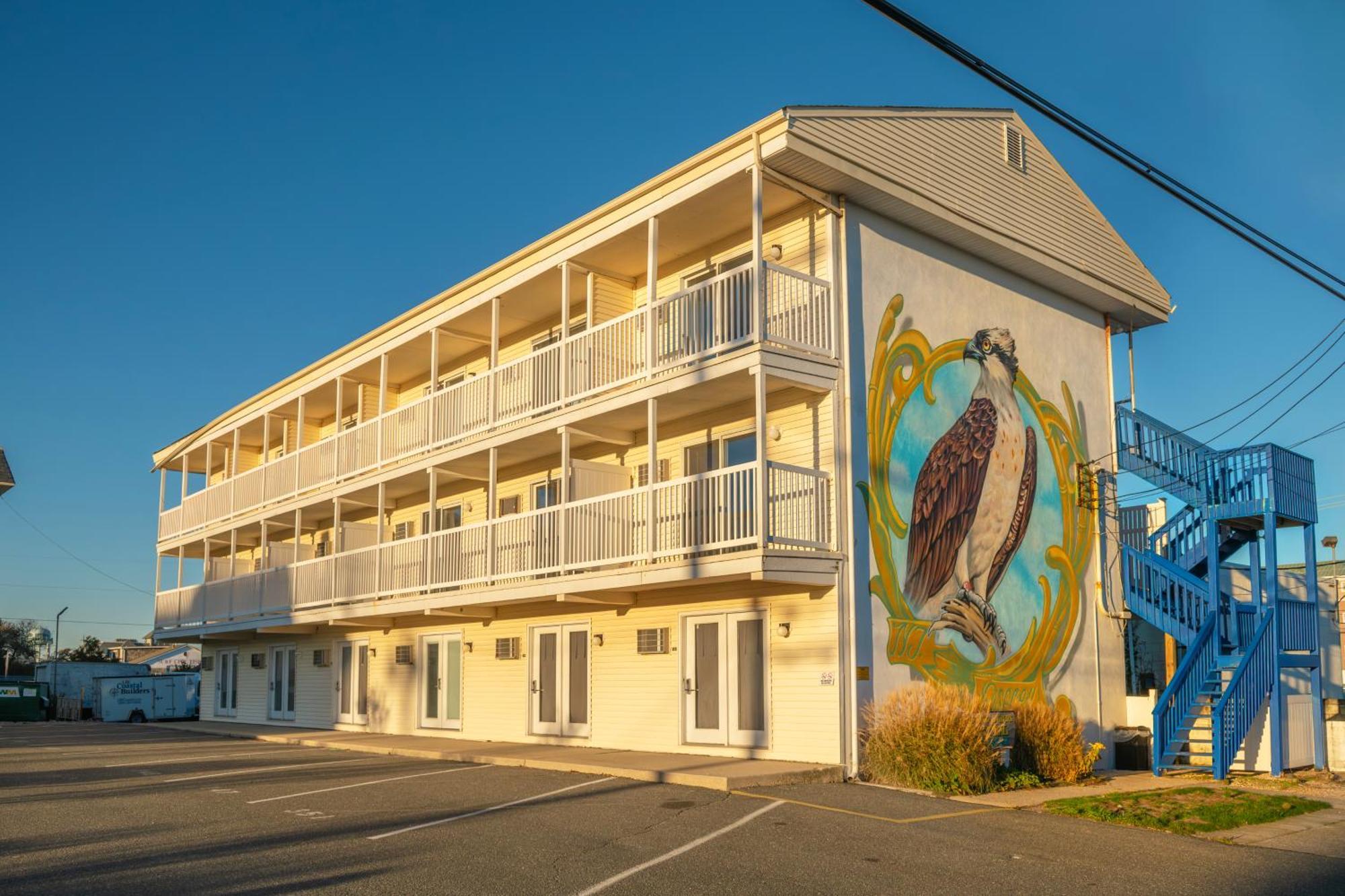 Drifting Sands Oceanfront Hotel Ship Bottom Eksteriør bilde